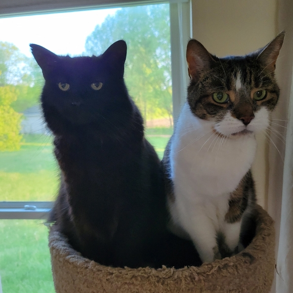 Meet your Posher, Kenneth - Picture 1 of 1